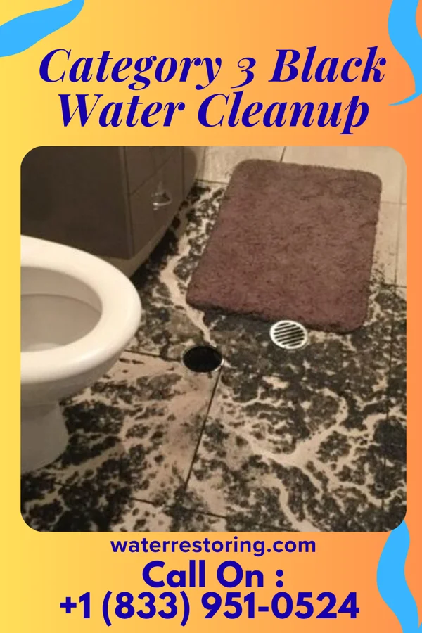 Category 3 Black Water Cleanup in Crossville, IL
