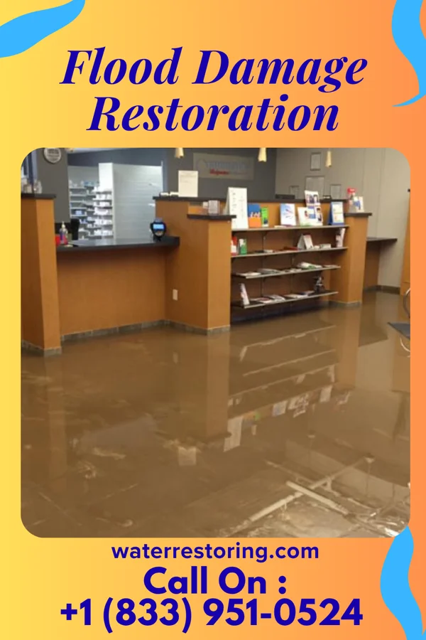 Flood Damage Restoration in Crossville, IL